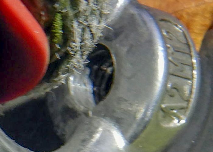 Ringmutter
